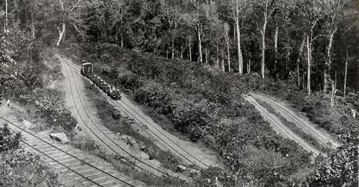 Cochin State Forest Tramway - Part of the main line with empty train on a grade. Photo: Wikimedia Commons