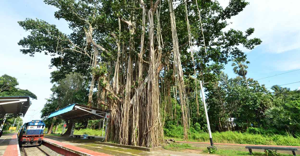 Muthalamada Railway Station, Kollamkode, Palakkad. Image used for representational purpose. Photo: Manorama