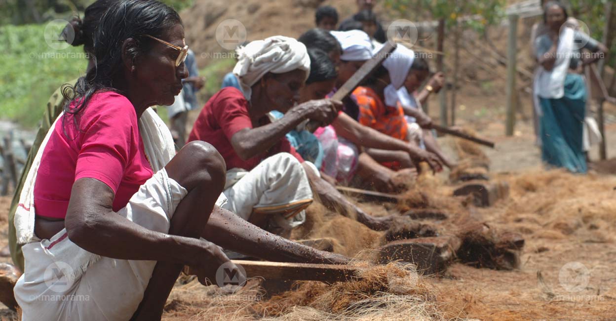 Women engaged in processing coconut fibre to manufacture coir. Image used for representational purpose. Photo: Josekutty Panackal / Manorama
