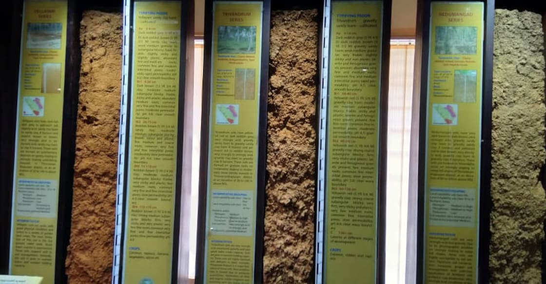 Soil psychedelia in India's first soil museum Soil psychedelia in India's first soil museum