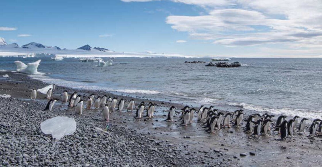 Crucial UN body report on global warming in October