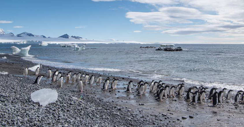 Crucial UN body report on global warming in October