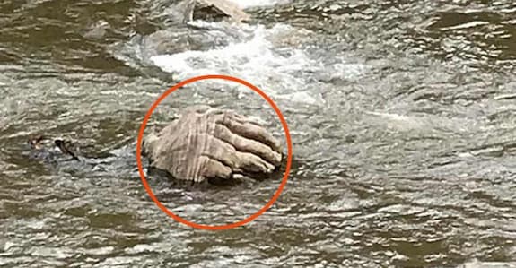 ‘Hand of God’ in Muthirapuzha River draws hundreds ‘Hand of God’ in Muthirapuzha River draws hundreds