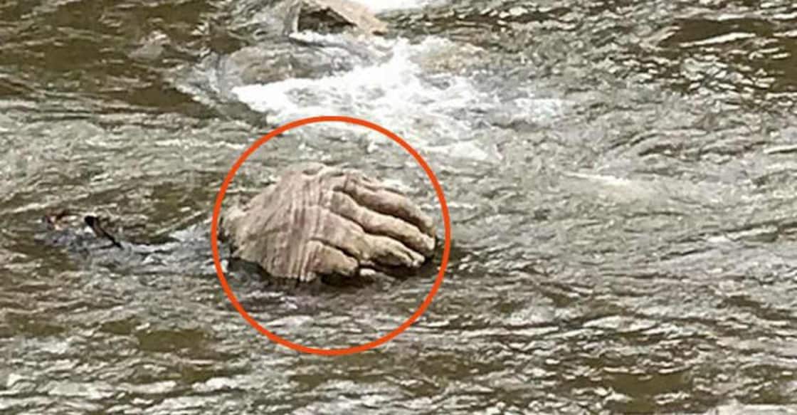 ‘Hand of God’ in Muthirapuzha River draws hundreds ‘Hand of God’ in Muthirapuzha River draws hundreds