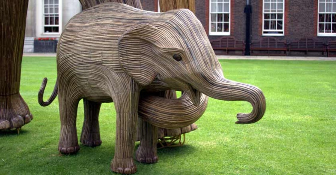 'Lantana Elephants' set for world tour to spread message of conservation