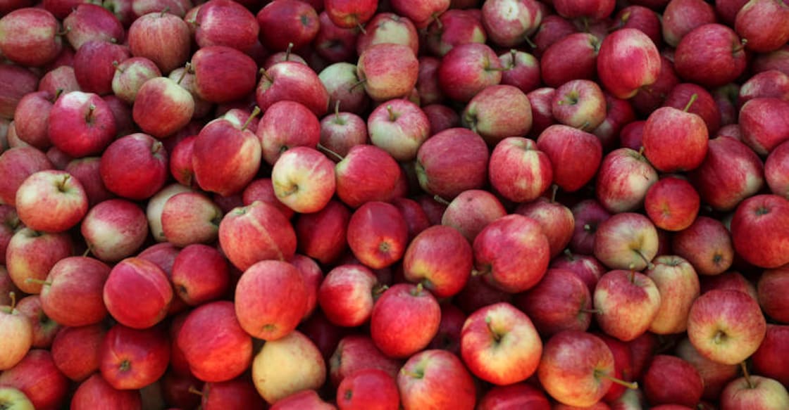 Scientists reveal 'ideal diet' for peoples' and planet's health Scientists reveal 'ideal diet' for peoples' and planet's health