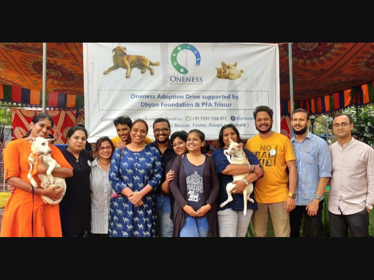 Kochi's unique pet adoption drive helps stray animals find shelters