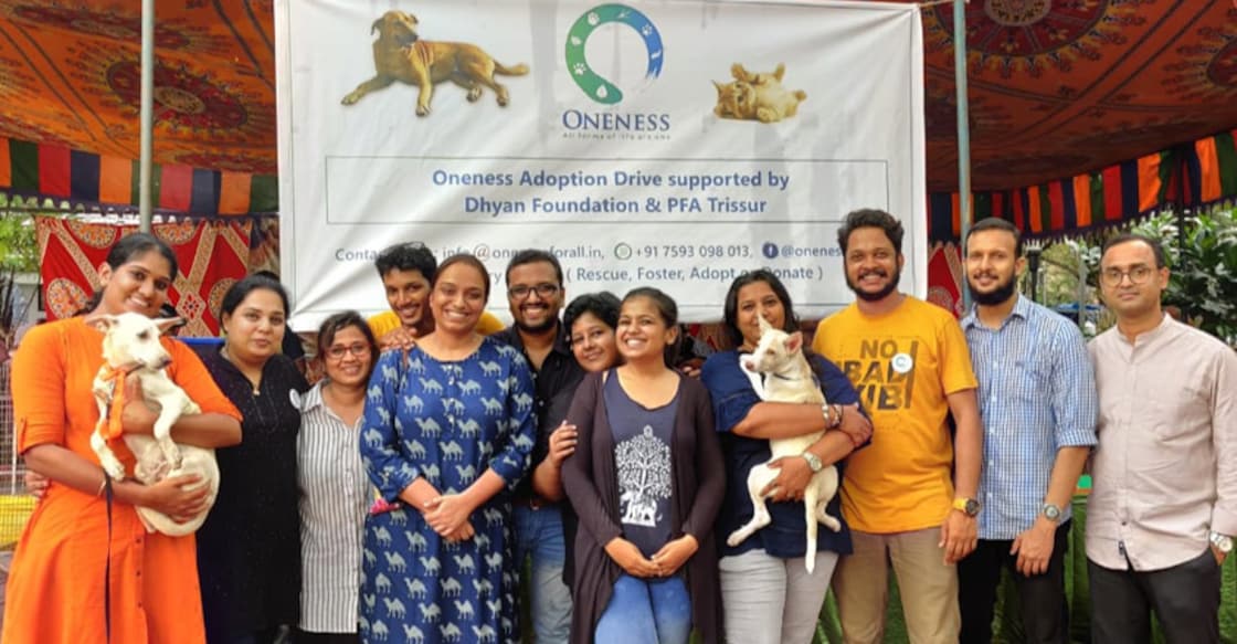 Kochi's unique pet adoption drive helps stray animals find shelters  