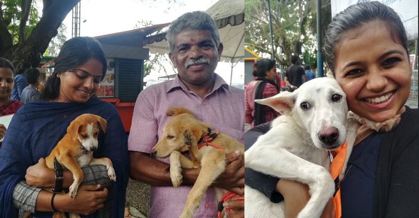 Kochi's unique pet adoption drive helps stray animals find shelters Kochi's unique pet adoption drive helps stray animals find shelters
