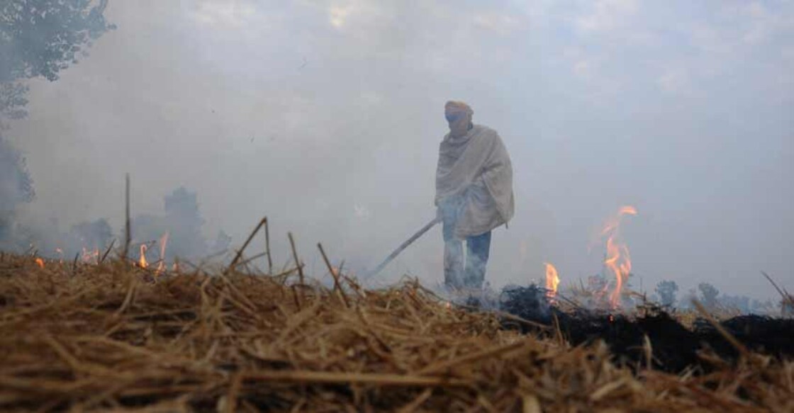 A farmer burns paddy stubble on the outskirts of Amritsar. (File Photo: IANS)