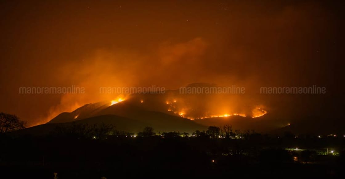 The fascinating science of forest fires: Survival tips and preventive measures The fascinating science of forest fires: Survival tips and preventive measures
