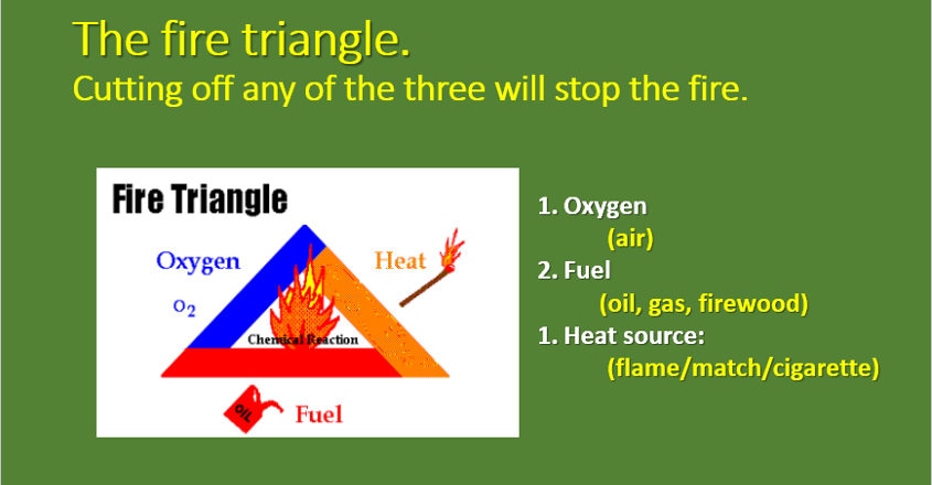 The fascinating science of forest fires, survival tips