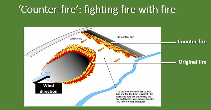 forestfire-5a forestfire-5a
