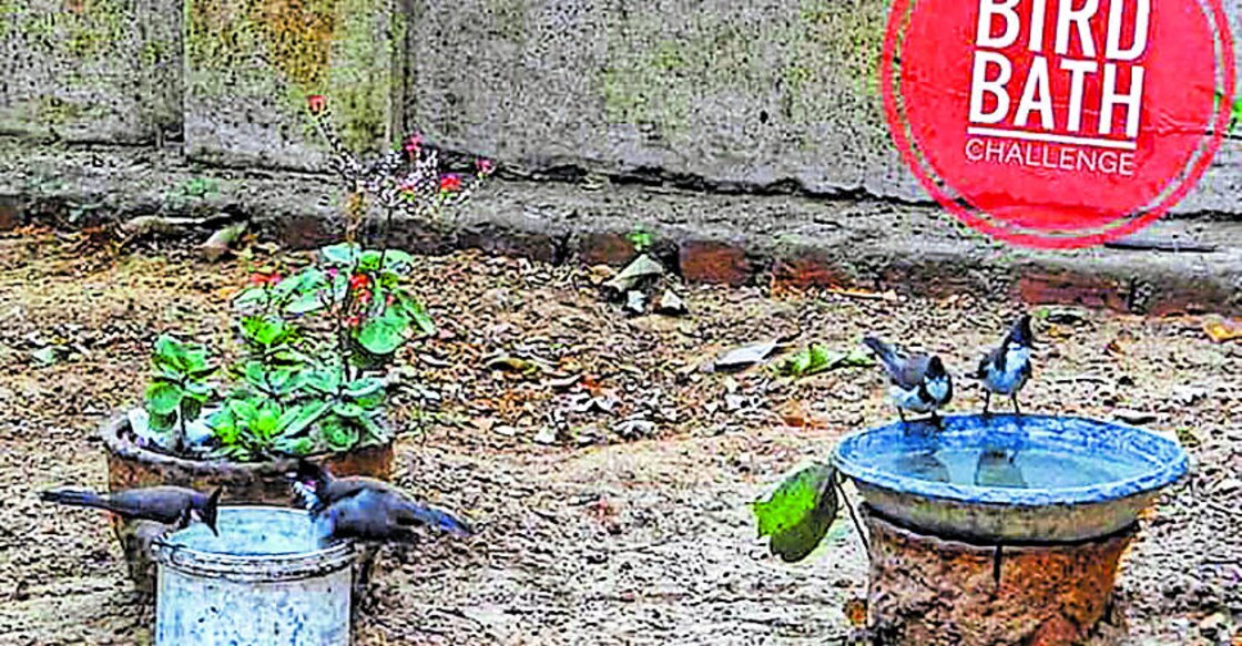 Birdbath challenge