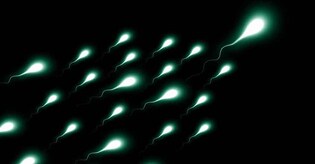 Human sperm can retain viability in outer space conditions: Study