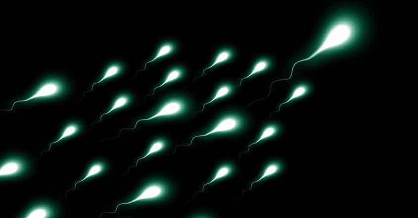 Sperm. (File Photo: IANS)