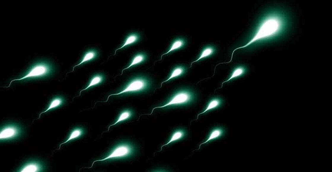 Sperm. (File Photo: IANS) Sperm. (File Photo: IANS)