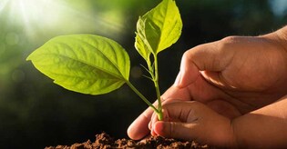 Actor Vivek Oberoi to join spiritual leaders for green cause