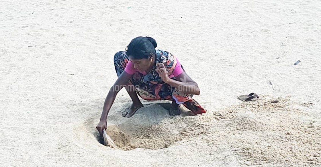 Lesson for parched Chennai from a Dhanushkodi village Lesson for parched Chennai from a Dhanushkodi village