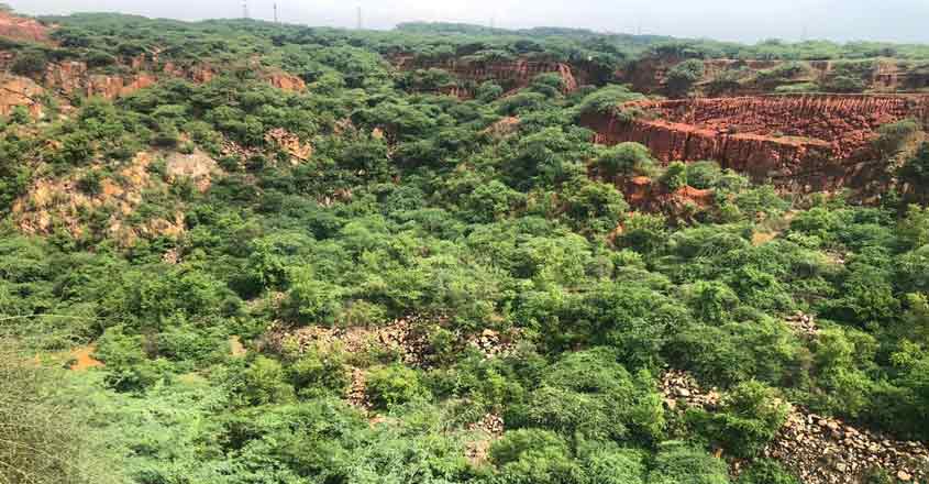 New Delhi: Freed of illegal miners, Asola Bhati Sanctuary is green again.