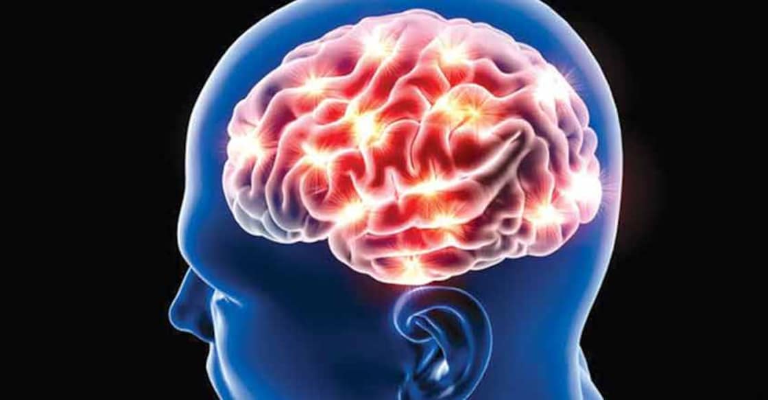 brain-activity brain-activity