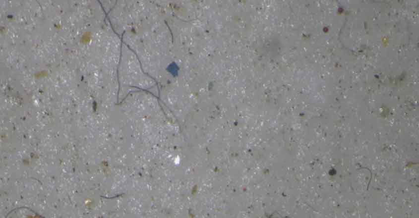 ENVIRONMENT-ARCTIC-PLASTIC ENVIRONMENT-ARCTIC-PLASTIC