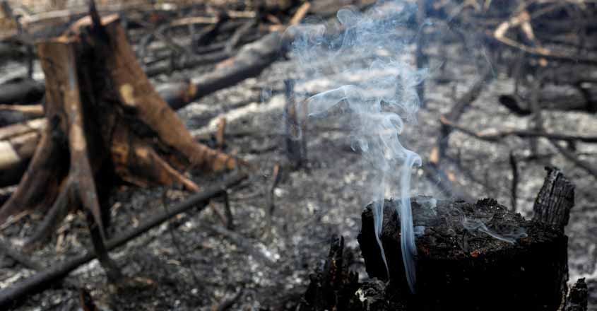Why is Amazon burning? Why is Amazon burning?