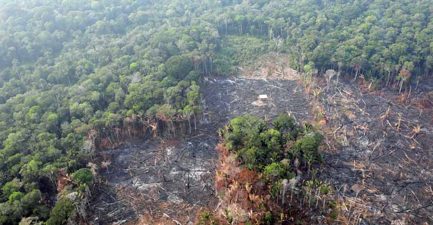 Why is Amazon burning? Why is Amazon burning?