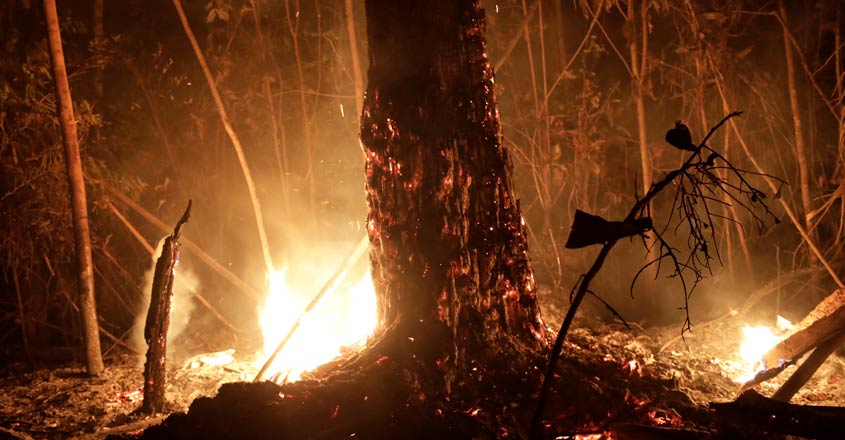 Why are the Amazon fires sparking a crisis for Brazil - and the world? Why are the Amazon fires sparking a crisis for Brazil - and the world?