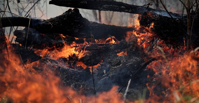 Why are the Amazon fires sparking a crisis for Brazil - and the world? Why are the Amazon fires sparking a crisis for Brazil - and the world?