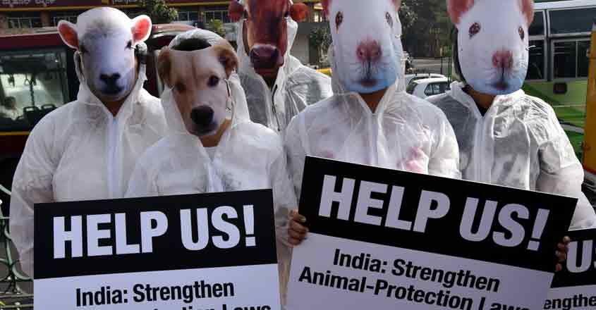 Bengaluru: PETA activists stage a demonstration on the International Animal Rights Day and Human Rights Day in Bengaluru on Dec 10, 2016. (Photo: IANS) Bengaluru: PETA activists stage a demonstration on the International Animal Rights Day and Human Rights Day in Bengaluru on Dec 10, 2016. (Photo: IANS)