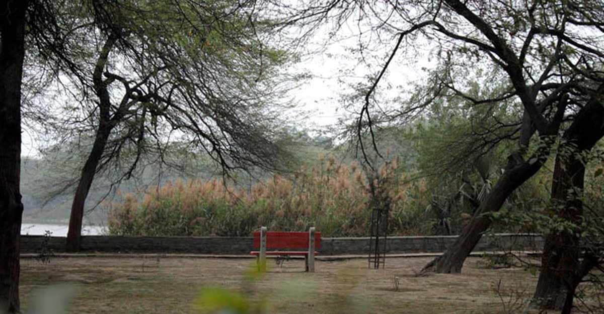Delhi has a large number of green areas accessible to its people (Photograph: Rahul Kumar) Delhi has a large number of green areas accessible to its people (Photograph: Rahul Kumar)