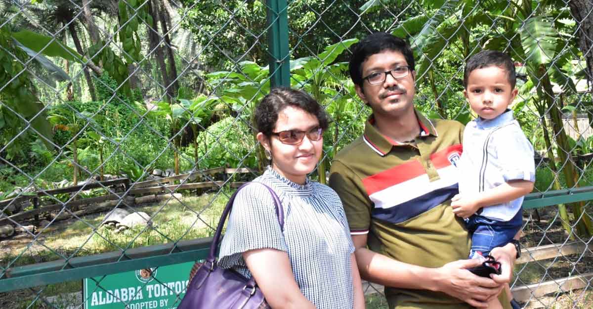 tortoise adopted tortoise adopted