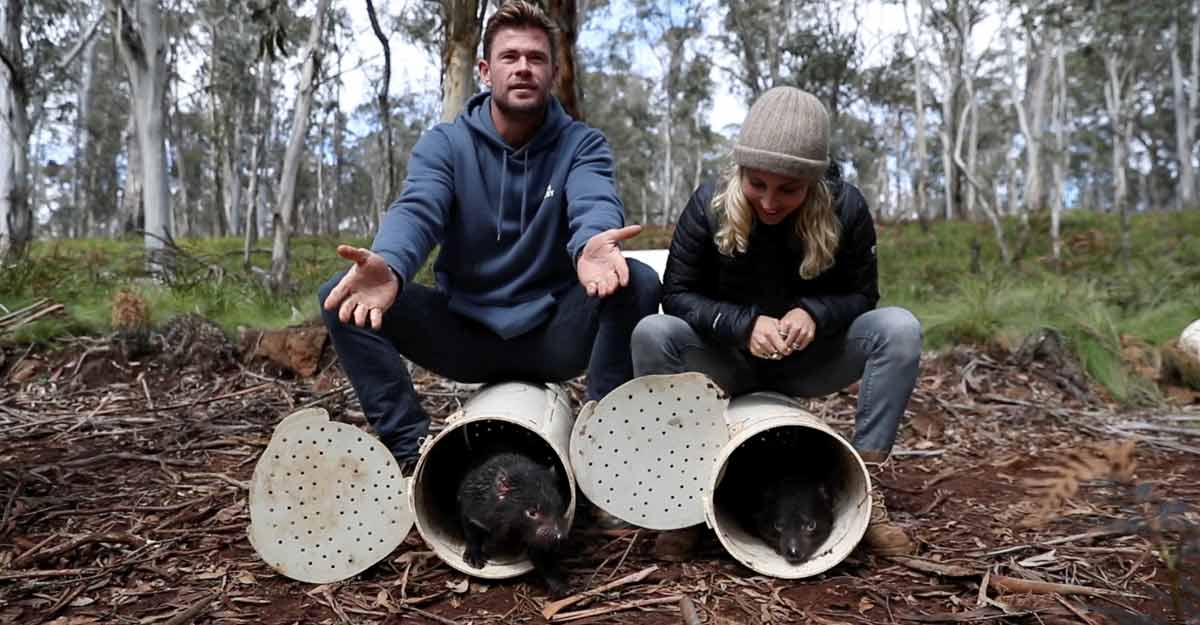 chris hemsworth elsa pataky chris hemsworth elsa pataky