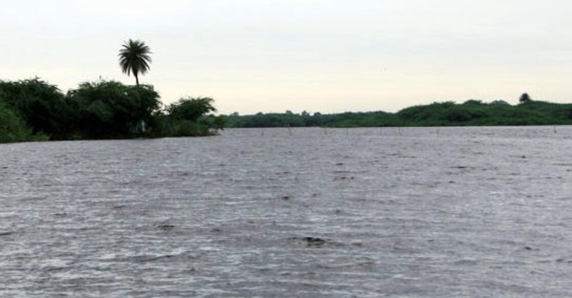 Environmentalists hail decision to declare Soor Sarovar as Ramsar site.