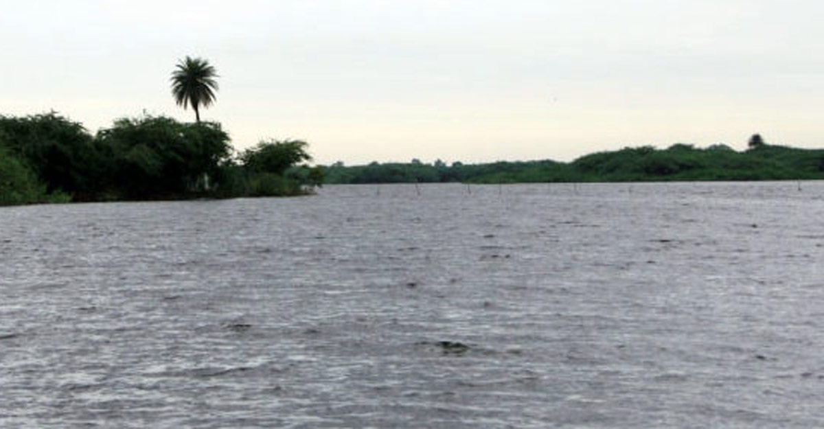 Environmentalists hail decision to declare Soor Sarovar as Ramsar site.