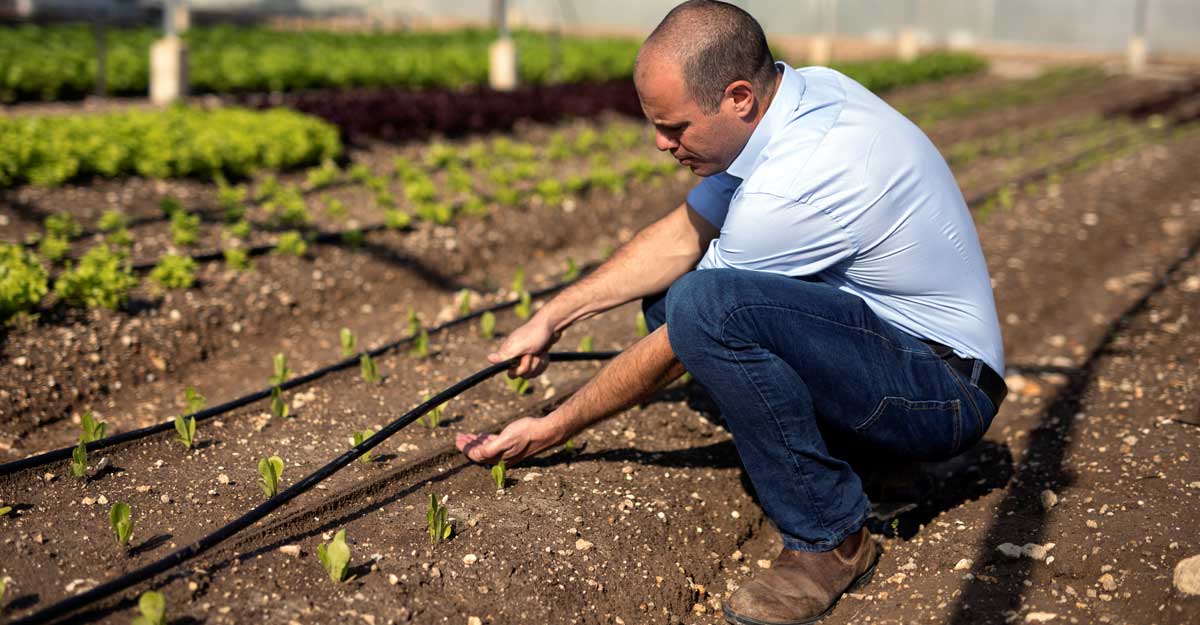 CLIMATE-CHANGE-AGRICULTURE CLIMATE-CHANGE-AGRICULTURE