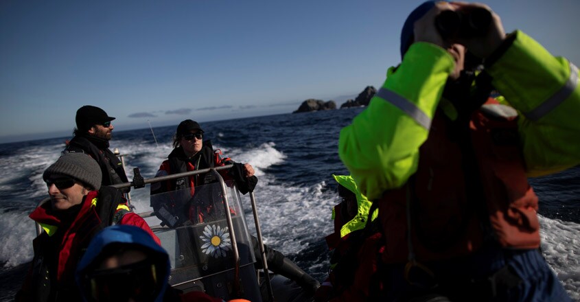 greenpeace-activist greenpeace-activist