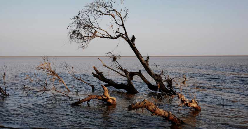 Myanmar's villages in front line of climate change with rising sea ...