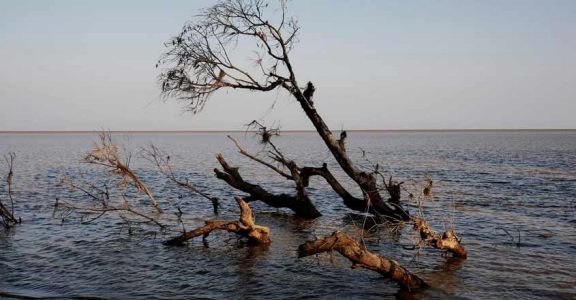 Myanmar's villages in front line of climate change with rising sea levels | Lifestyle News | English Manorama