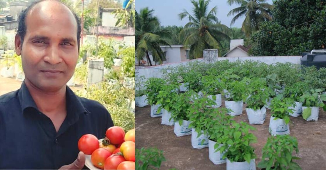 farming-on-terrace