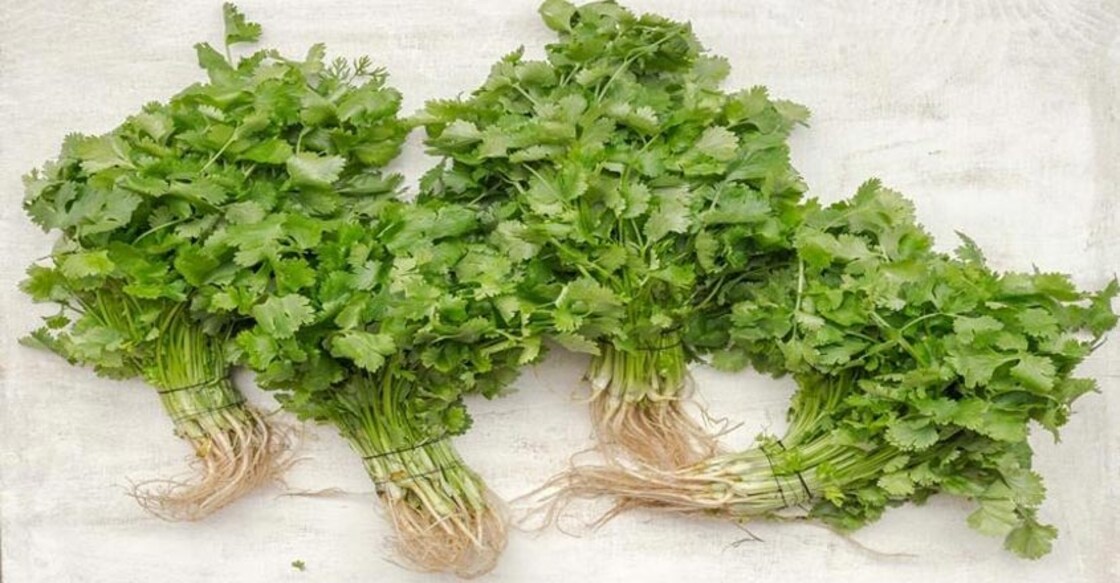 Grow your own herb garden. Grow your own herb garden.
