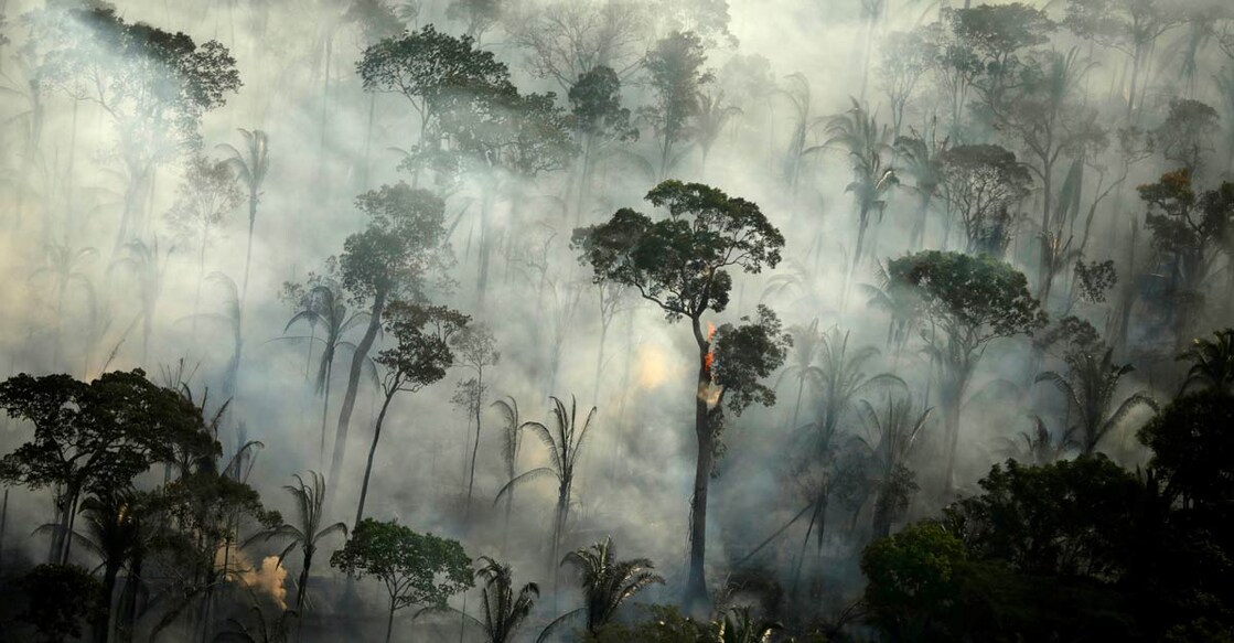 BRAZIL-ENVIRONMENT