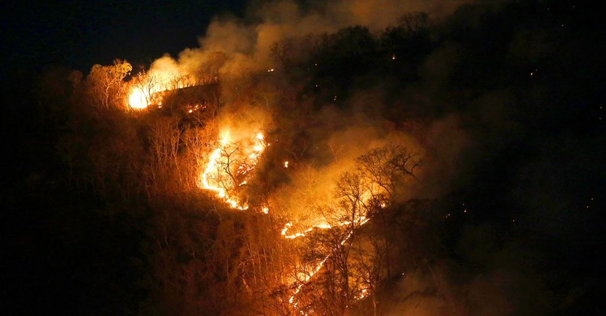 Rio de Janeiro, Aug. 27 (Xinhua) -- Image taken on Aug. 17, 2019 shows a raging fire in the Amazon rainforest in the state of Tocantins, Brazil. (Dida Sampaio/AGENCIA ESTADO/Handout via Xinhua/IANS) Rio de Janeiro, Aug. 27 (Xinhua) -- Image taken on Aug. 17, 2019 shows a raging fire in the Amazon rainforest in the state of Tocantins, Brazil. (Dida Sampaio/AGENCIA ESTADO/Handout via Xinhua/IANS)