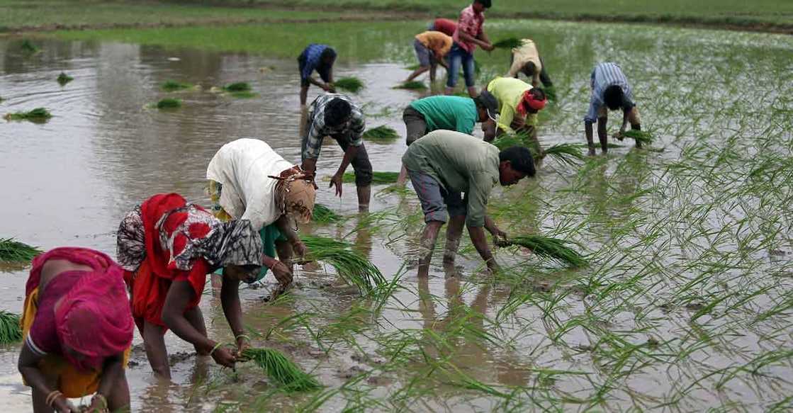 india farmers