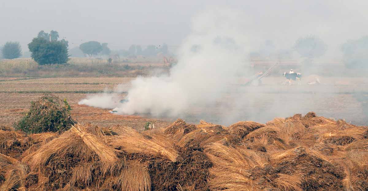 INDIA-POLLUTION INDIA-POLLUTION