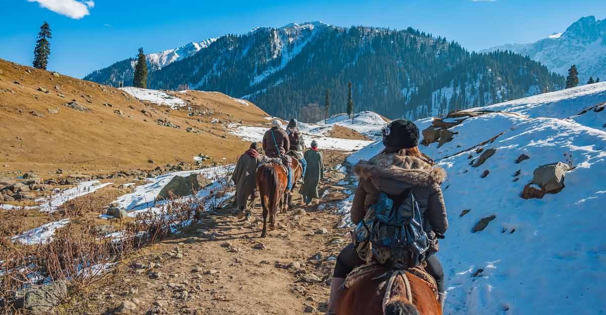 jammu kashmir glacier jammu kashmir glacier