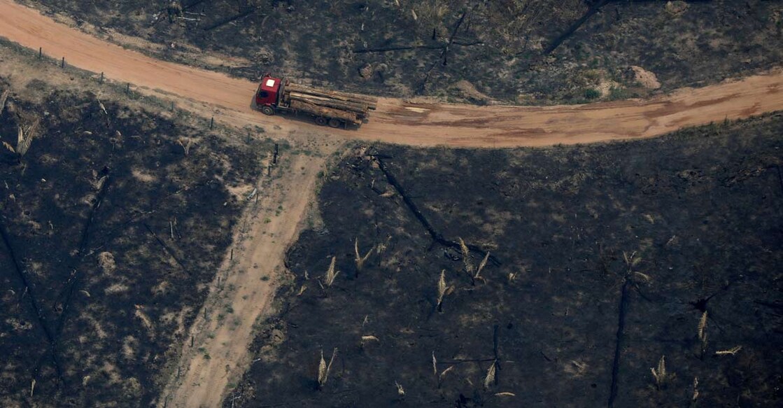 deforested plot deforested plot