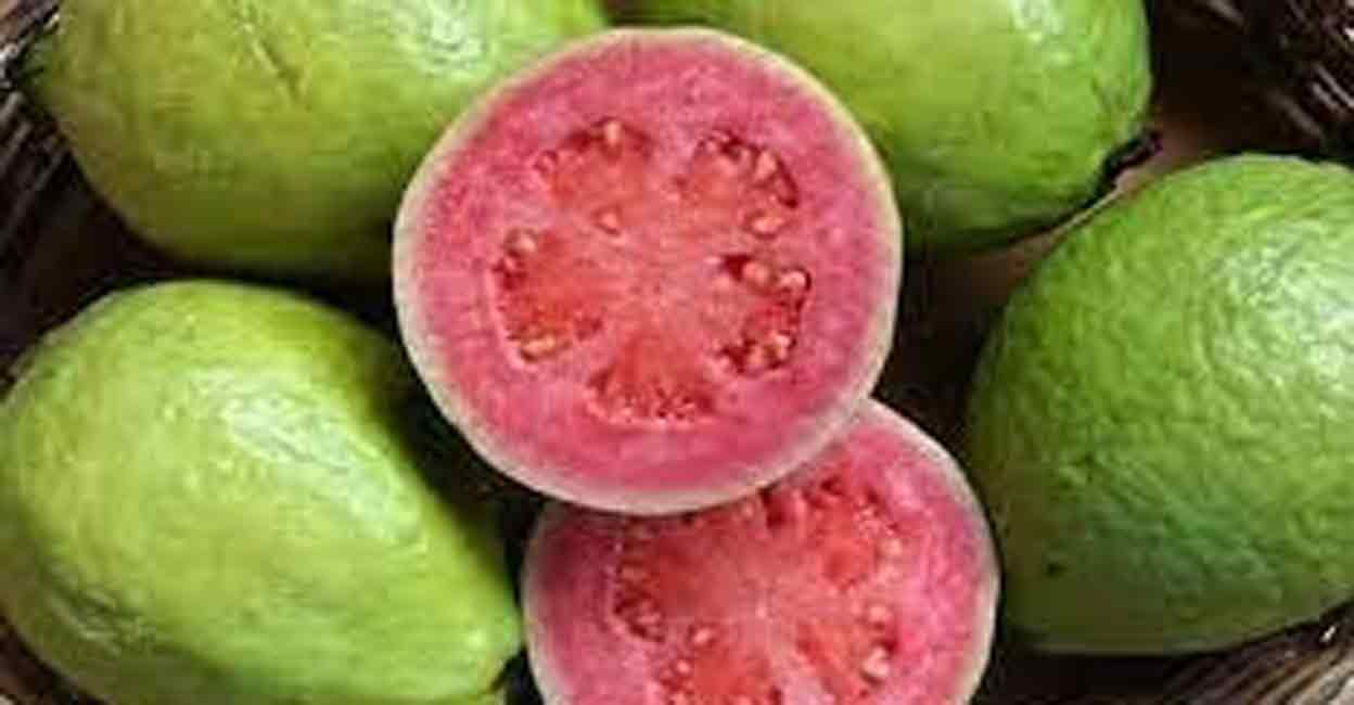 guava color