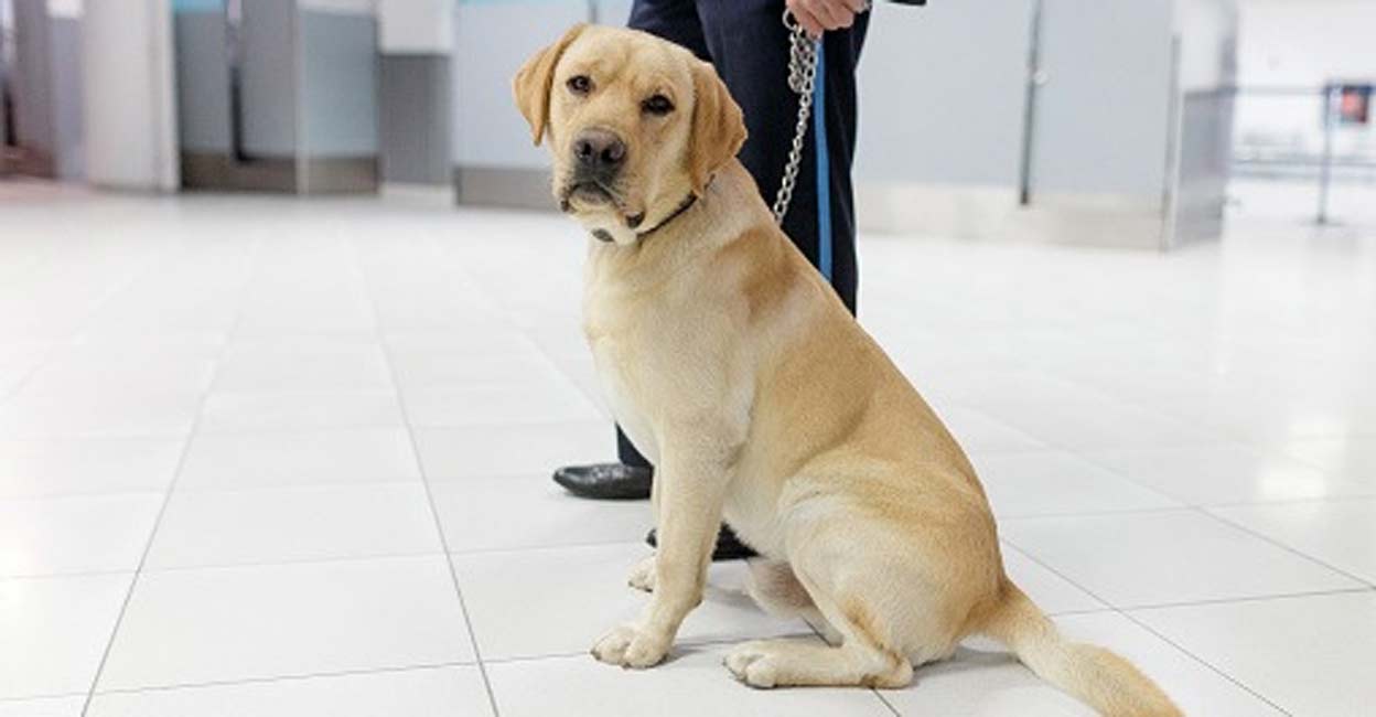 Representative image: IANS